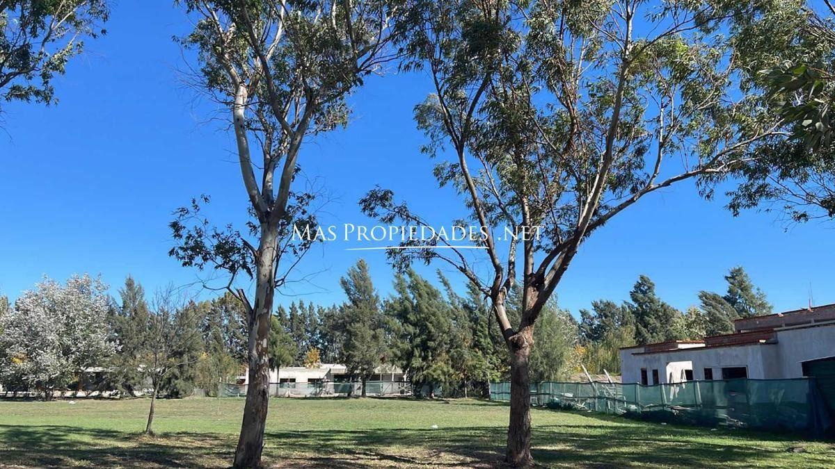 Foto de Venta Terreno / Lote interno en Miralagos, imagen 1