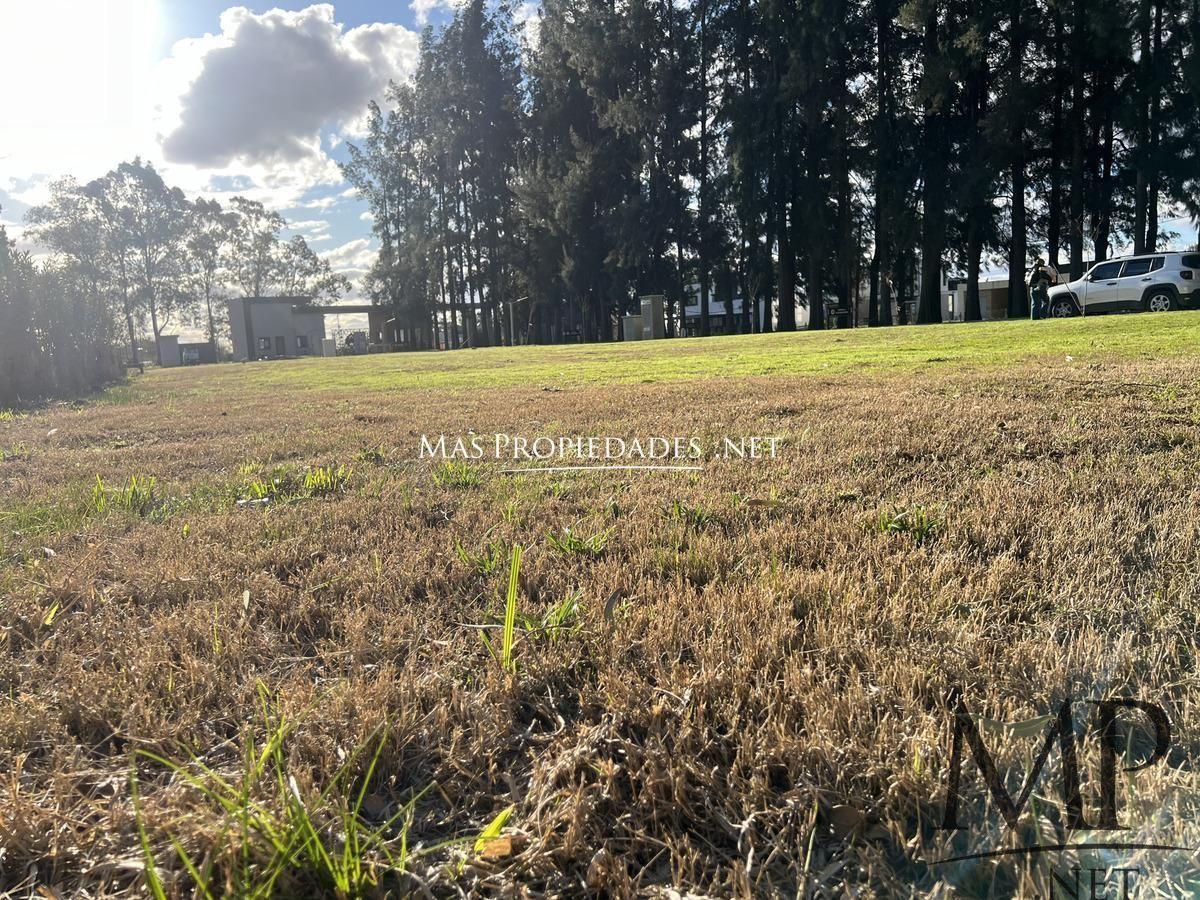 Foto de Venta Terreno / Lote Interno en Lares de Canning, imagen 5