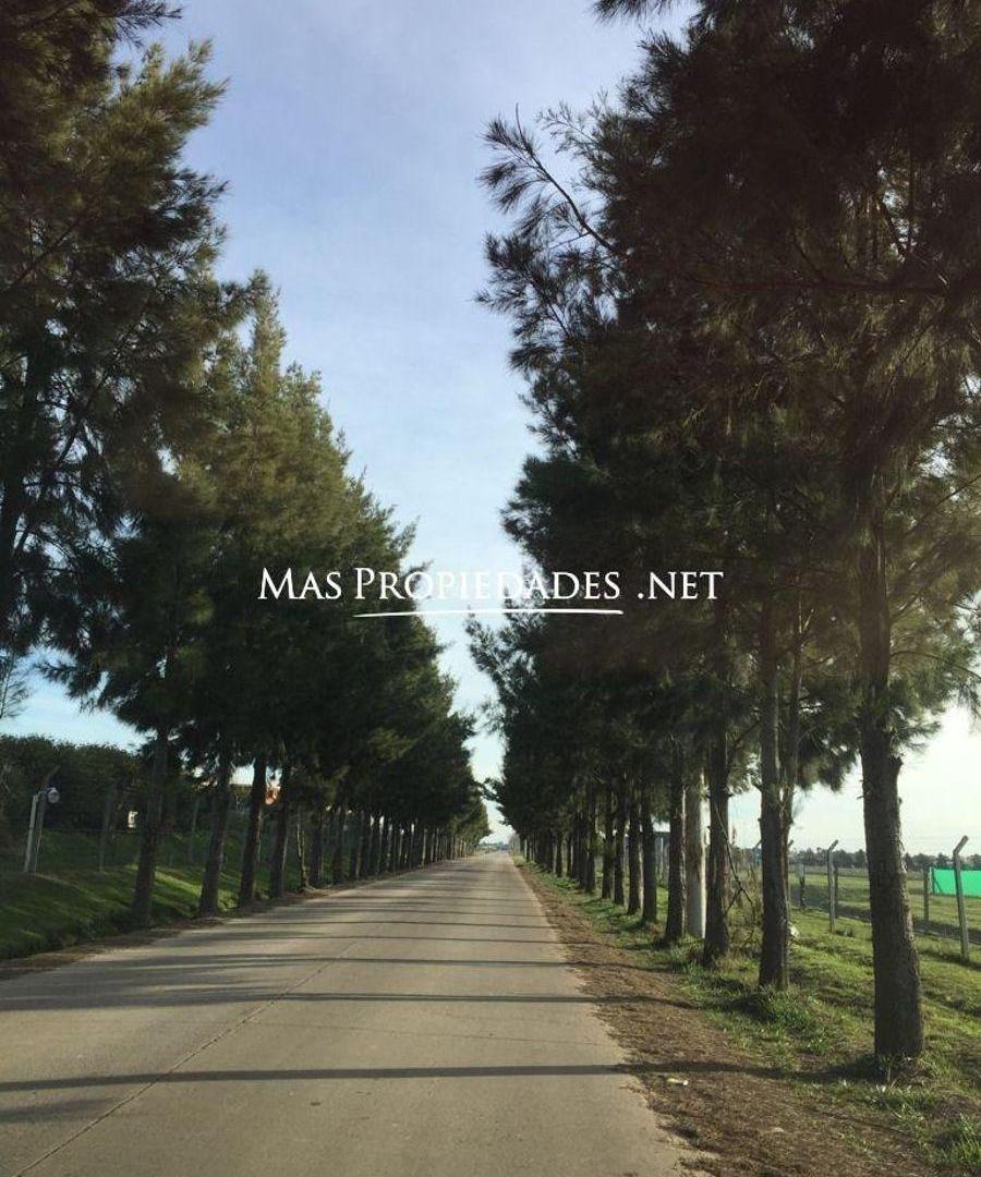Foto de Venta Terreno / Lote San Simon Canning, imagen 3