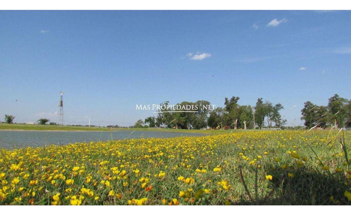 Foto de Venta Lote a la laguna en San Lucas Canning, imagen 3