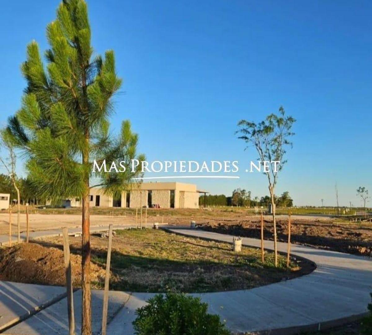 Foto de Venta Terreno / Lote a la laguna en Las Victorias Canning, imagen 5