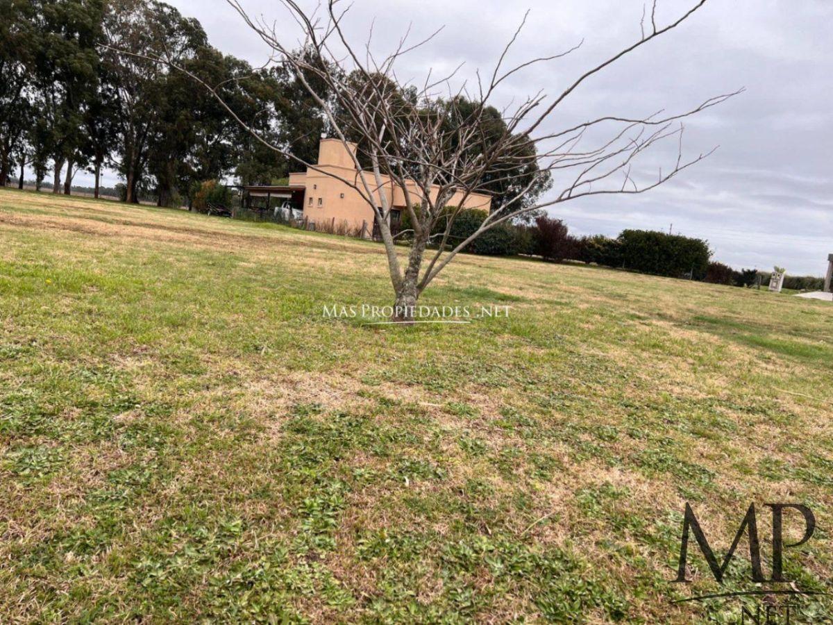 Foto de Venta Terreno / Lote interno en Horizontes al Sur Canning, imagen 3