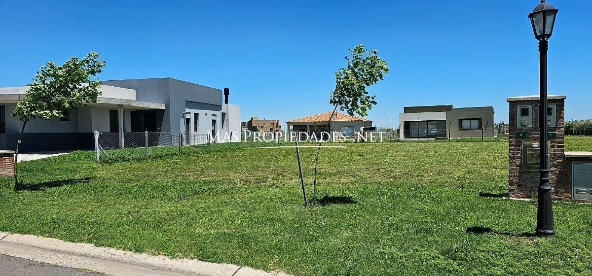 Foto de Venta Terreno / Lote interno en San Felipe Canning, imagen 5