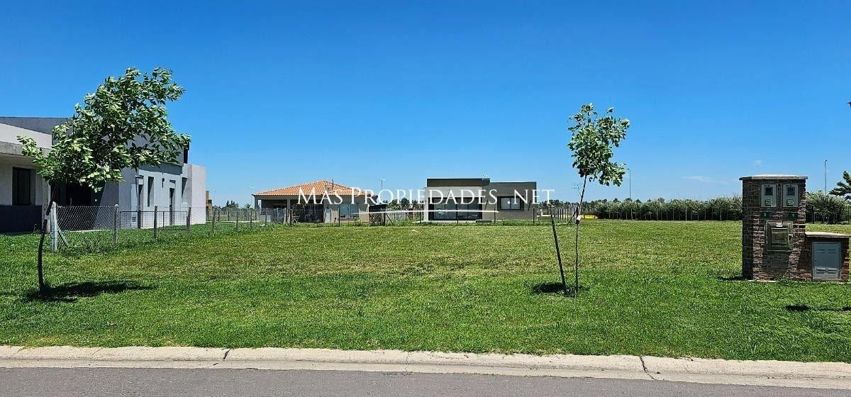 Foto de Venta Terreno / Lote interno en San Felipe Canning, imagen 3
