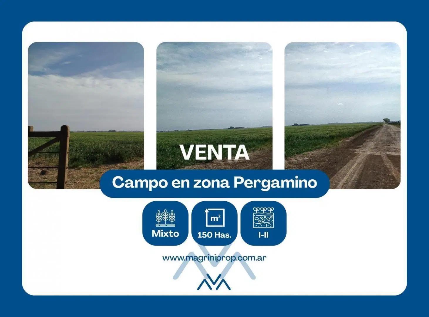 Campo Mixto 150 Has. en zona Pergamino, Buenos Aires 5