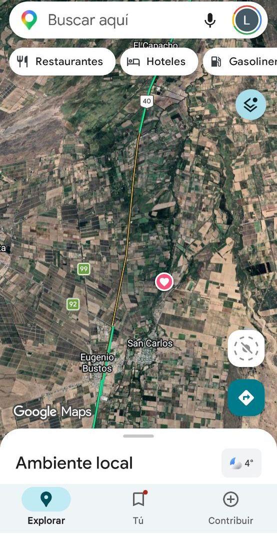 VENTA. TERRENO. 31.900 m2 .COSTEADO. RIO. SAN CARLOS. MENDOZA. ARGENTINA. VENDE APC ARGENTINA