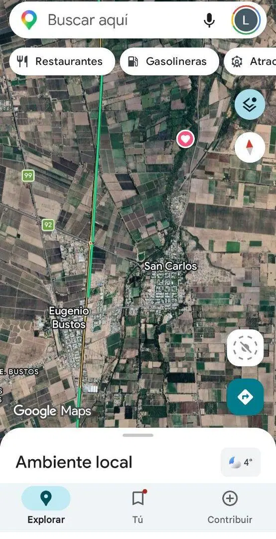 VENTA. TERRENO. 31.900 m2 .COSTEADO. RIO. SAN CARLOS. MENDOZA. ARGENTINA. VENDE APC ARGENTINA 5
