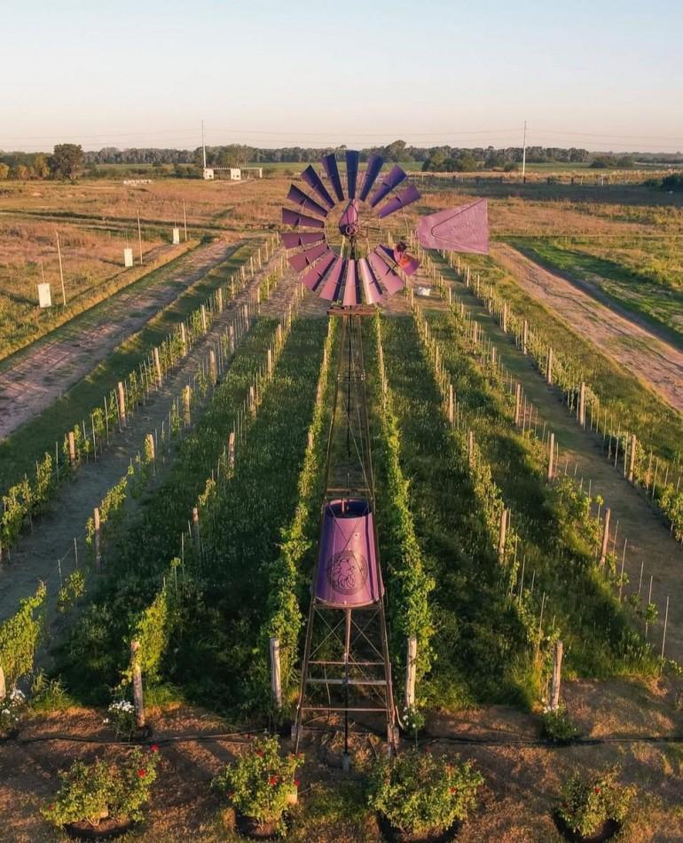 Foto de VENTA LOTE TERRENO EN DIONISIO APTO PARA ESCRITURAR MARIANO ACOSTA, imagen 3