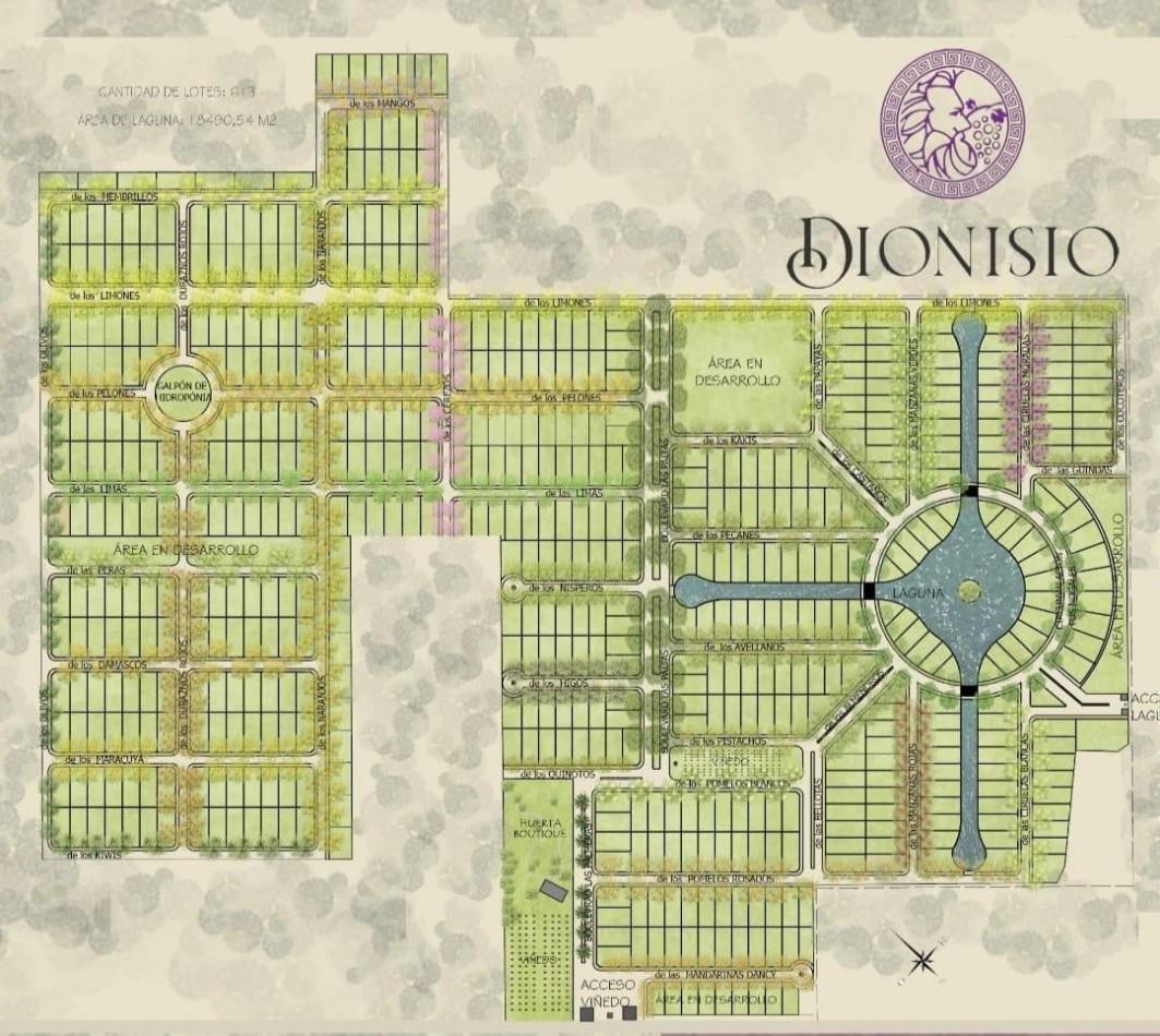 Foto de VENTA LOTE TERRENO EN DIONISIO APTO PARA ESCRITURAR MARIANO ACOSTA, imagen 2