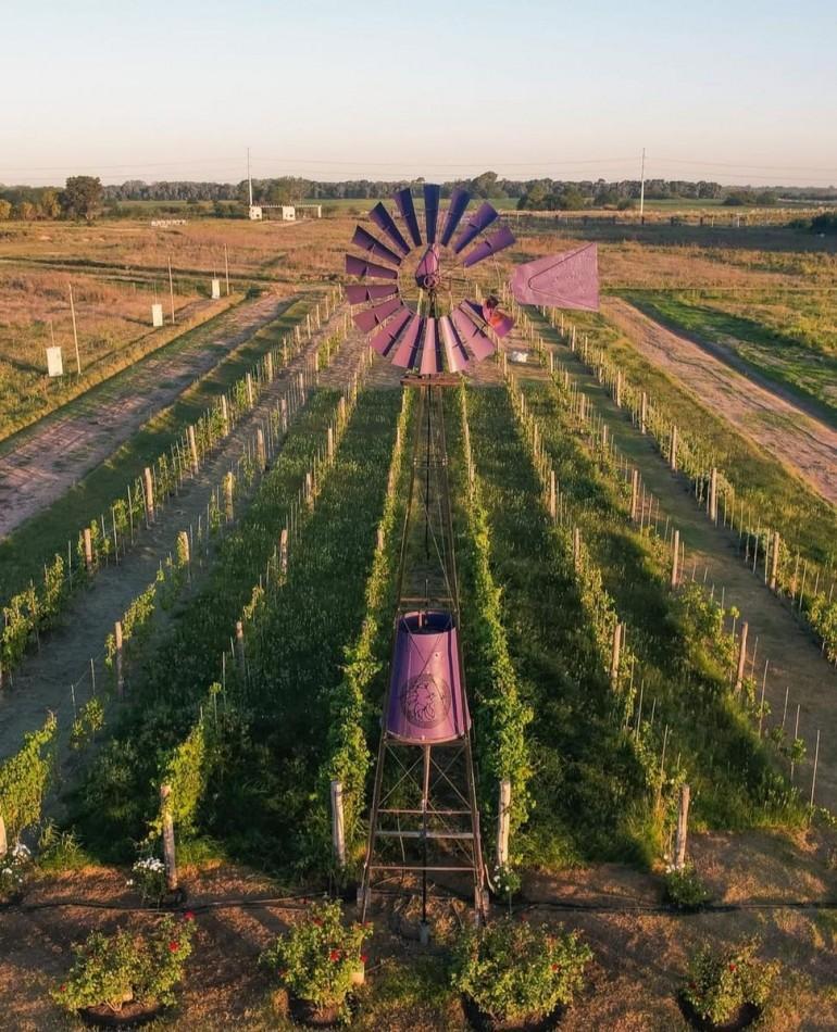 Foto de VENTA LOTE TERRENO EN DIONISIO APTO PARA ESCRITURAR MARIANO ACOSTA, imagen 4