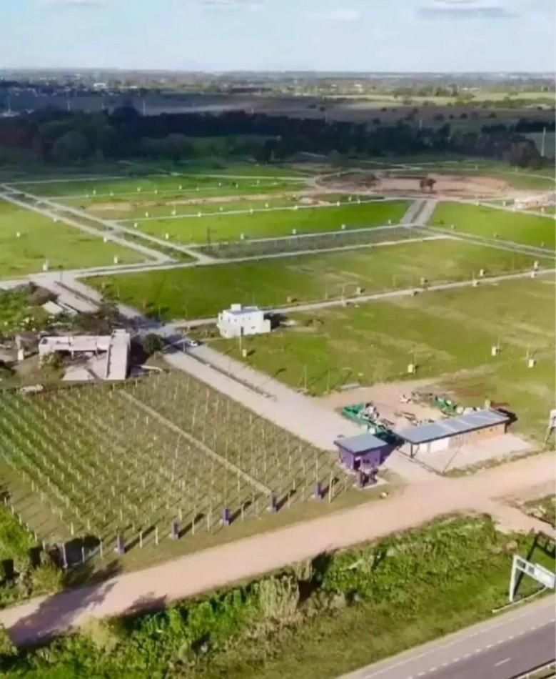 VENTA LOTE TERRENO EN DIONISIO APTO PARA ESCRITURAR MARIANO ACOSTA
