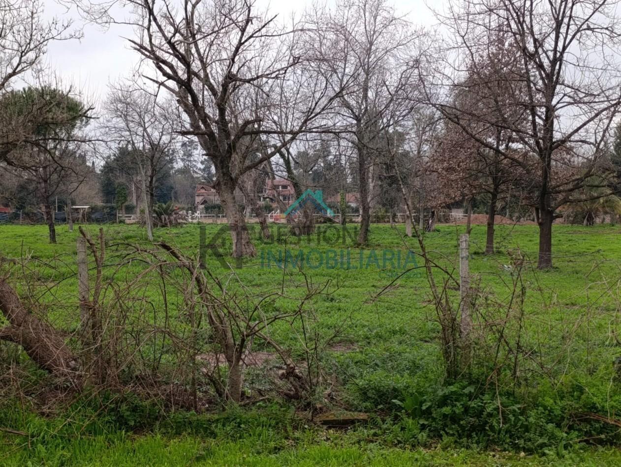 Foto de VENTA DE LOTES, TERRENOS EN LA REJA, MORENO, imagen 5