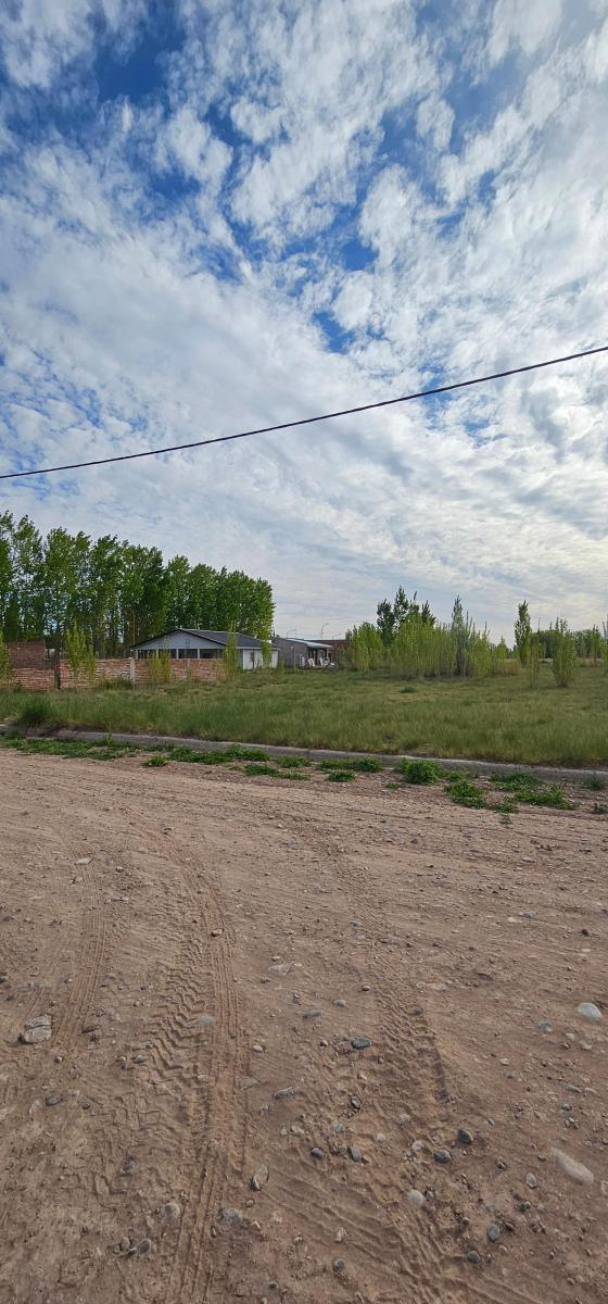 Terreno 555 m² - Barrio Don Higginio 3 - F. Oro 5