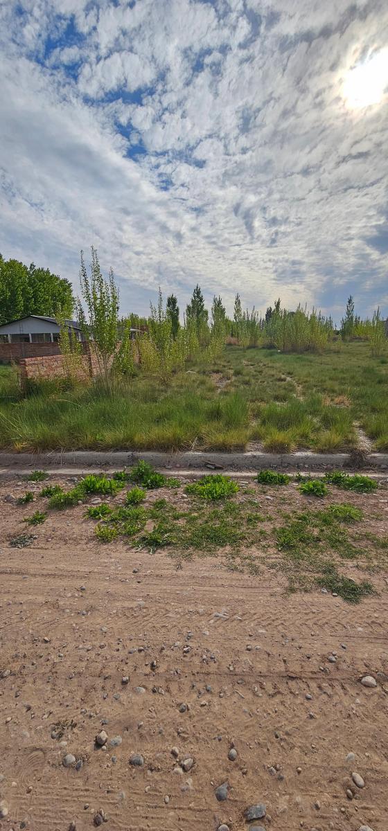 Terreno 555 m² - Barrio Don Higginio 3 - F. Oro 3