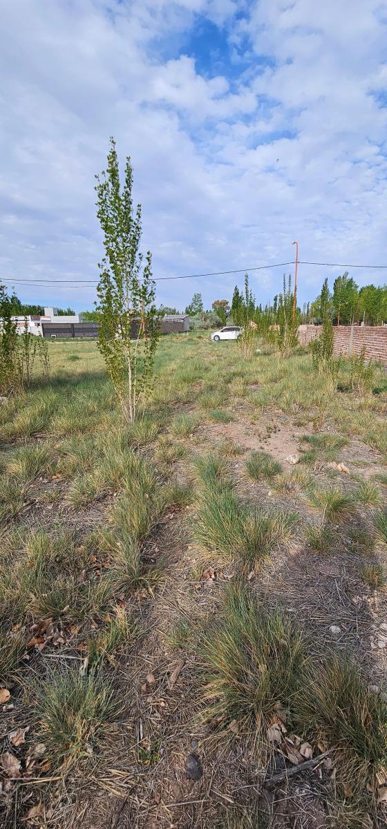 Terreno 555 m² - Barrio Don Higginio 3 - F. Oro 1