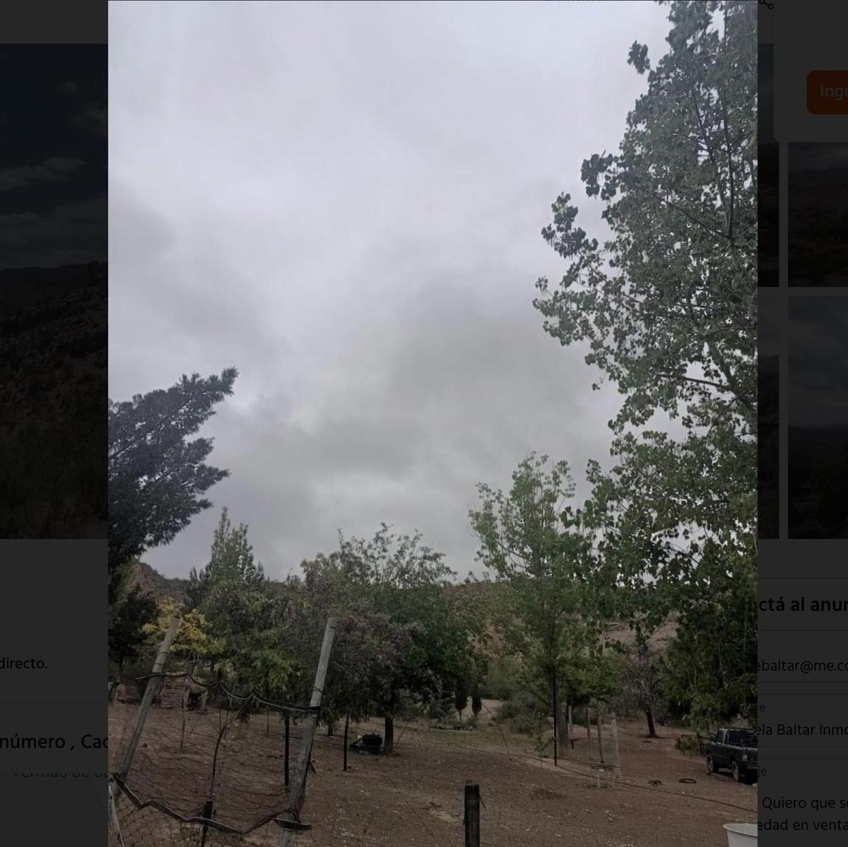 Finca - Campo en Venta Cacheuta - Lujan de Cuyo 4