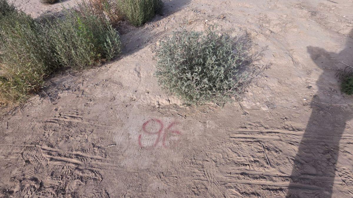Foto de LOTE UNICO EN GUAYMALLEN TODOS LOS SERVICIOS EN NATANIA 67, imagen 4