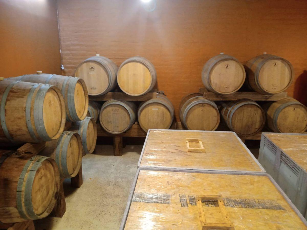 Foto de Espacio Enogastronómico. Funcionando con Bodega Artesanal en Serranías, imagen 3