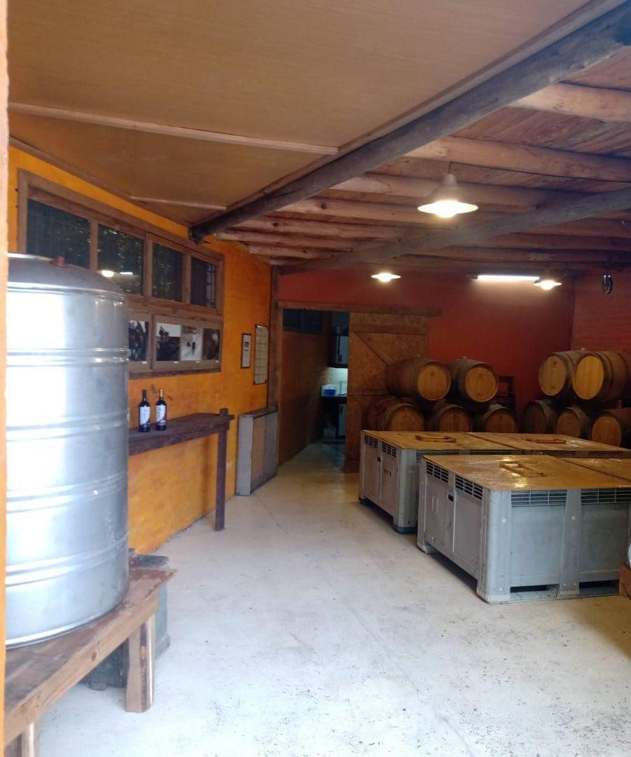 Foto de Espacio Enogastronómico. Funcionando con Bodega Artesanal en Serranías, imagen 1