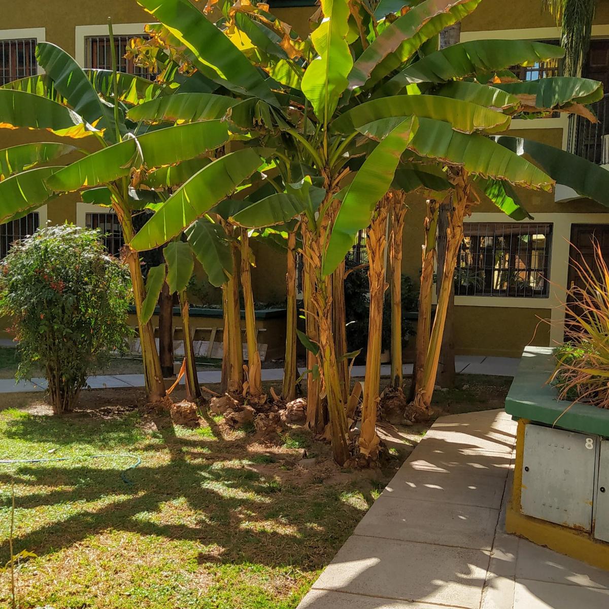 Departamento en Venta en Godoy Cruz 5