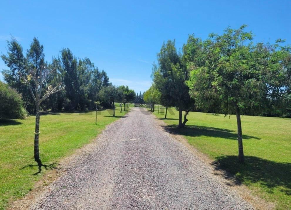 Foto de Casa en Venta 3 dormitorios | Ruta 36 KM 64 | USD 310.000, imagen 5