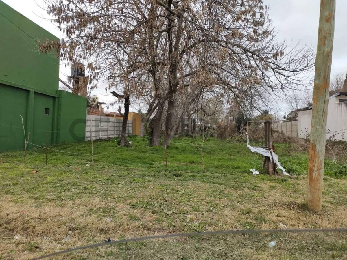 47 e/ 148 y 149 | Lote en venta de 10 x 60 m