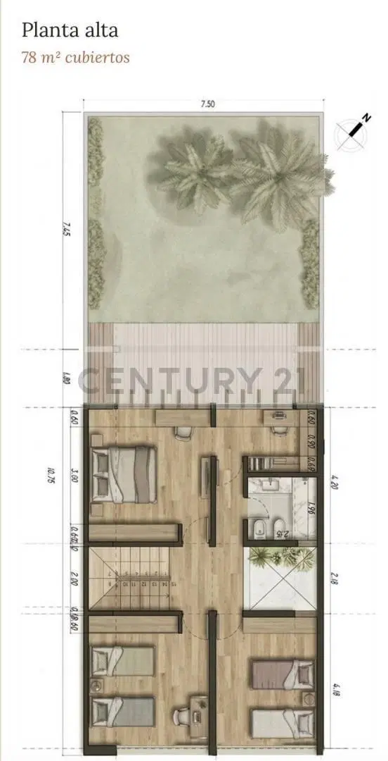 Plano 3