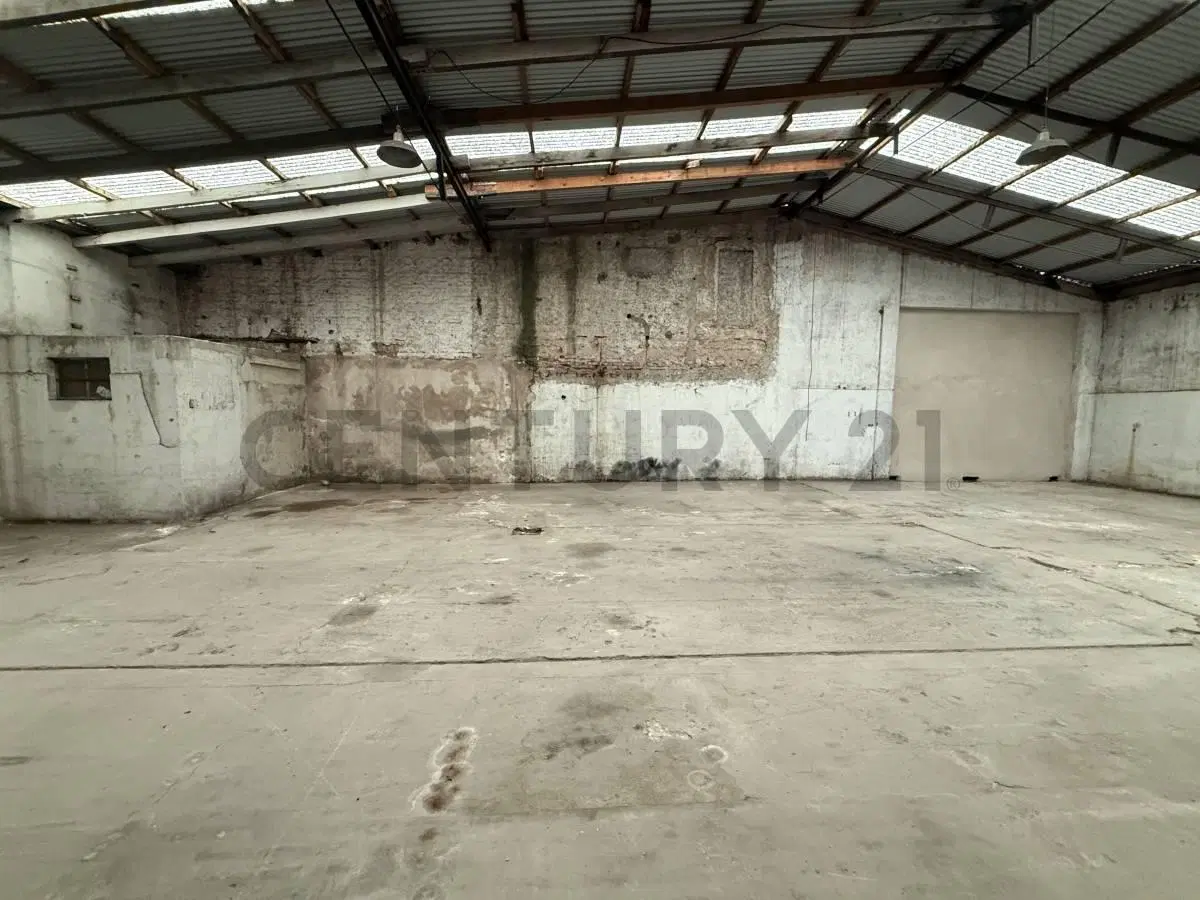 Calle 74 e/ 1 y 115 | Galpon de 300 mts cubiertos 5