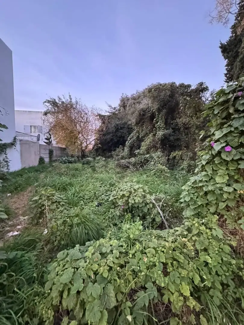 Lote en venta en La Plata av. 143 e/54 y 55 4