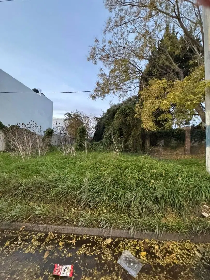 Lote en venta en La Plata av. 143 e/54 y 55 2