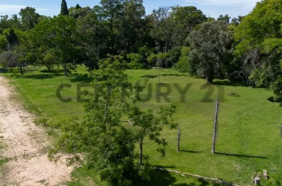 413 Y 21 D LOTES EN VENTA VILLA ELISA BARRIO CERRADO LIHUEN ESCRITURA 5
