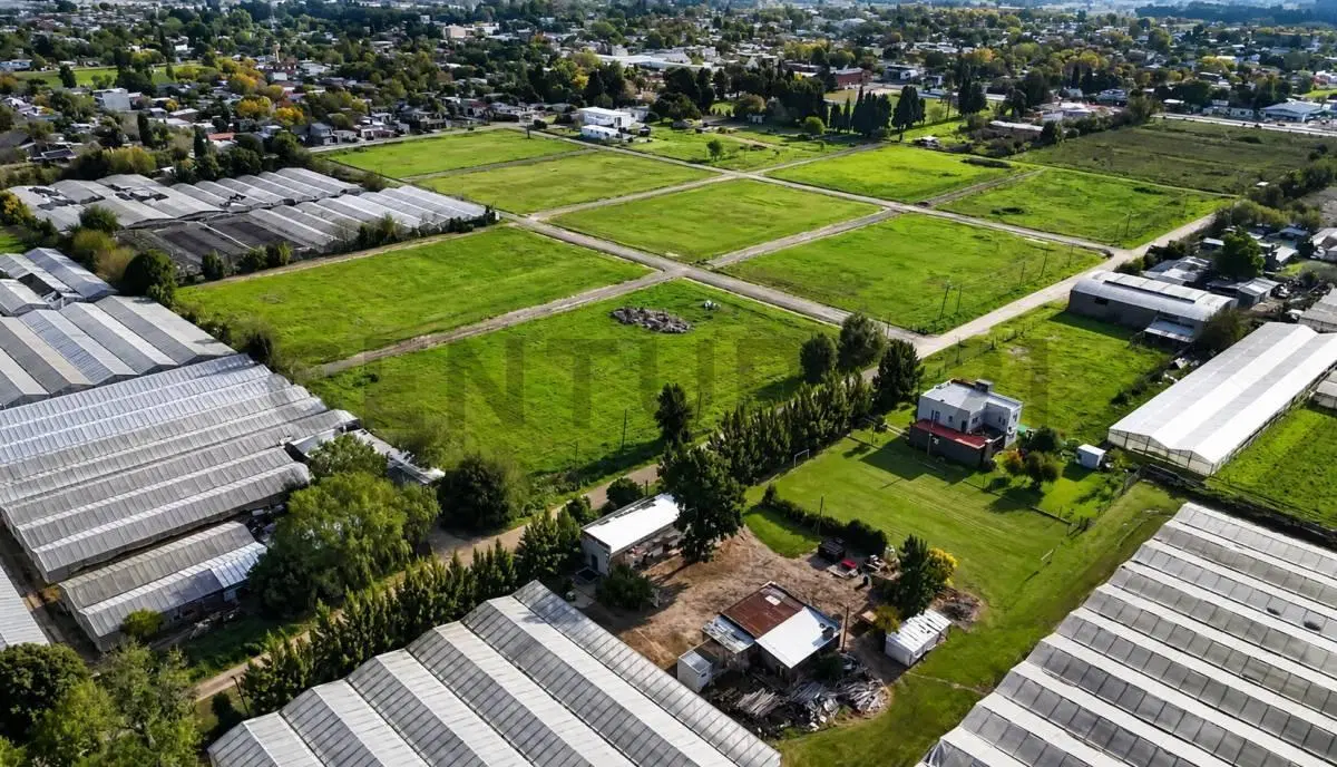 522 entre 206 y 208 - Lotes en Venta Barrio Residencial Nuevo Horizonte 2