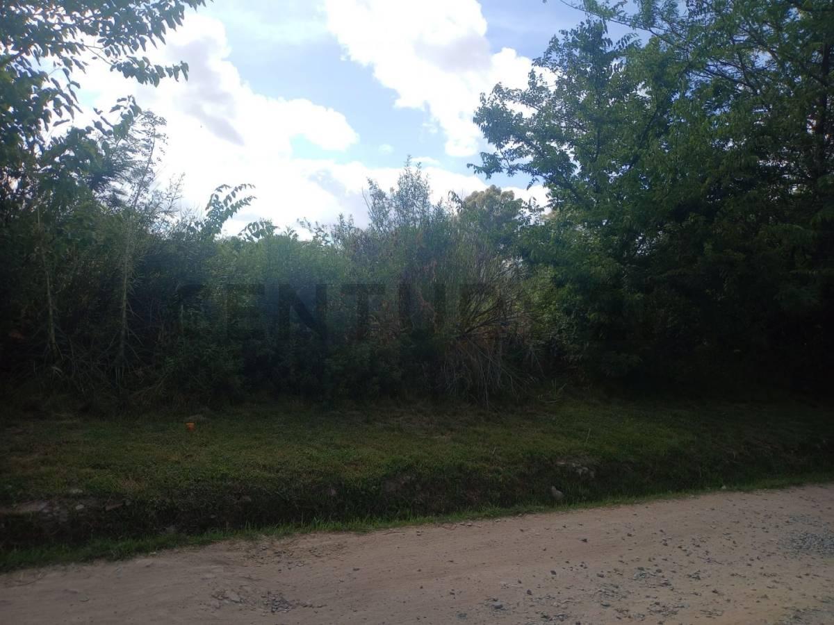 Foto de 474 entre 155 y 158- Lote - en venta- City Bell -La Plata, imagen 2