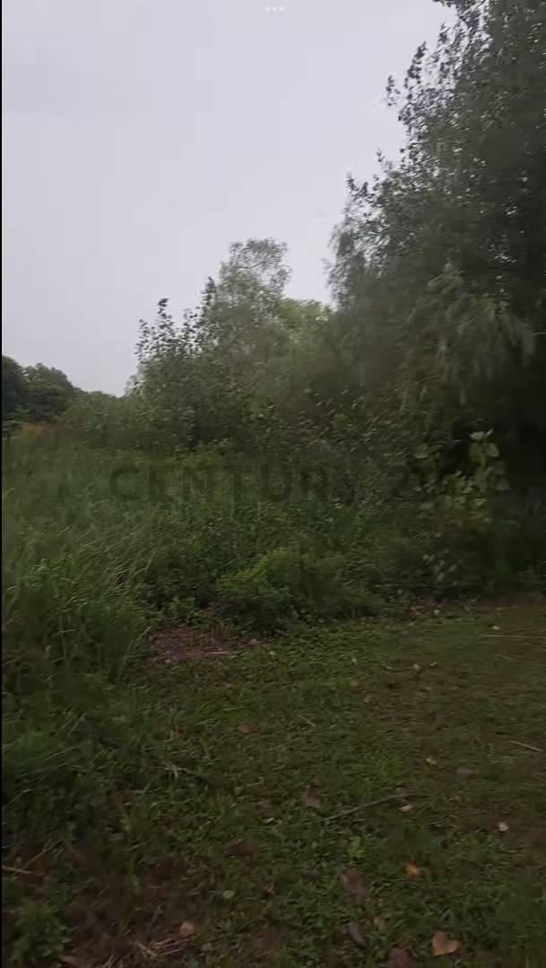 Foto de Campo en venta, imagen 2