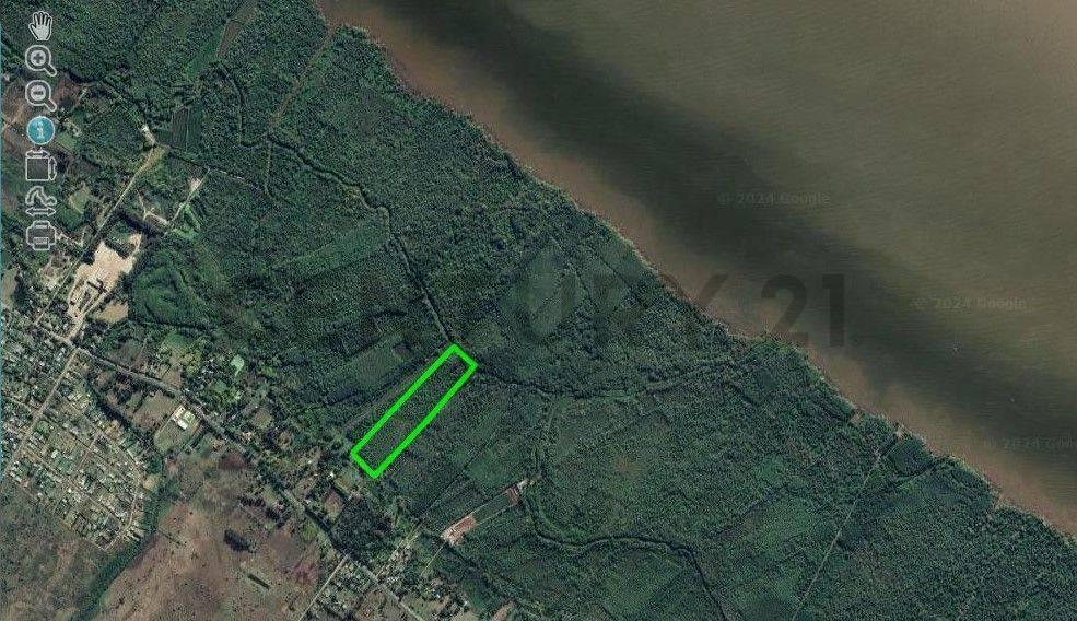 Foto de Campo en venta, imagen 3