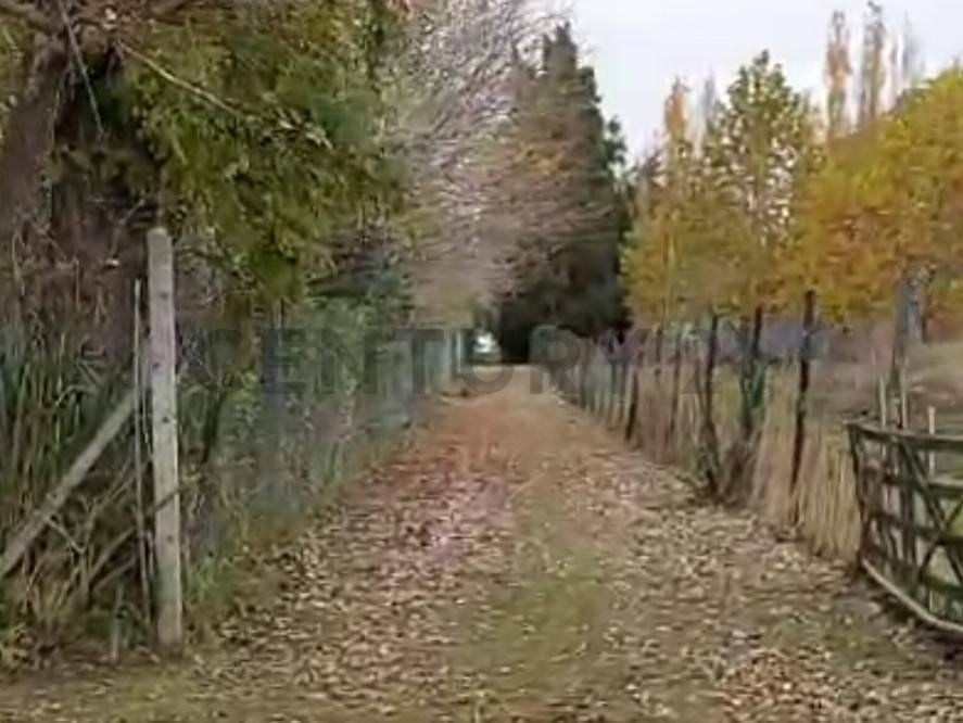 Foto de Campo en venta, imagen 1