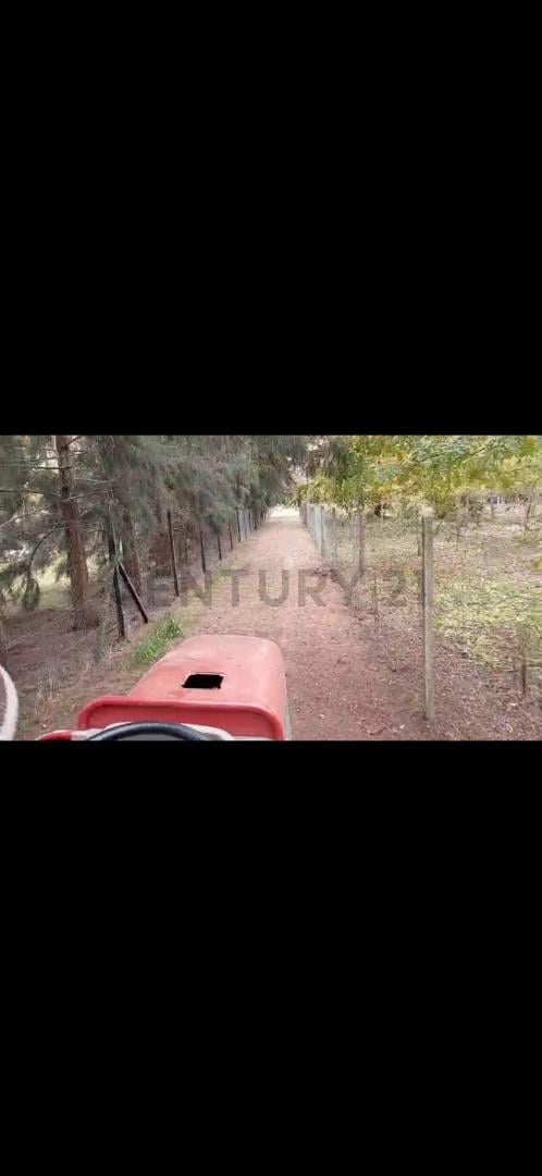 Foto de Campo en venta, imagen 5