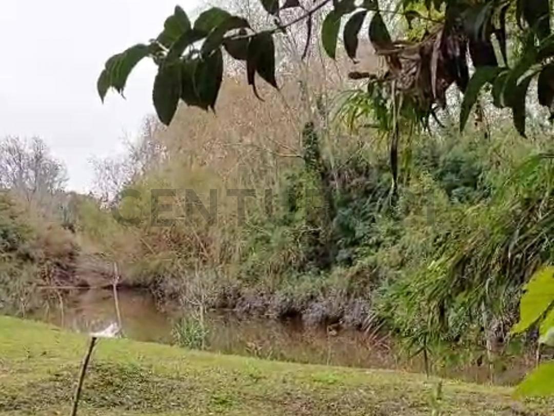 Foto de Campo en venta, imagen 4