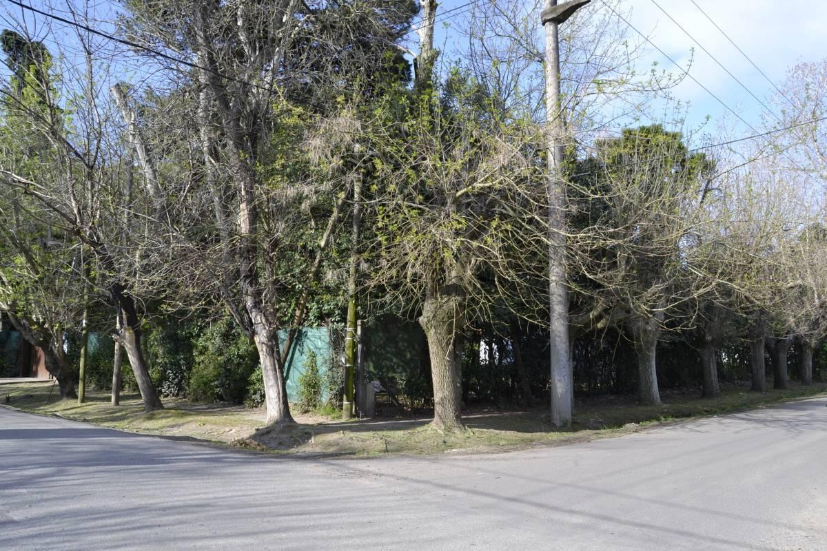 Foto de Venta Casa en esquina | Calle 477 y 26 - City Bell - La Plata, imagen 5