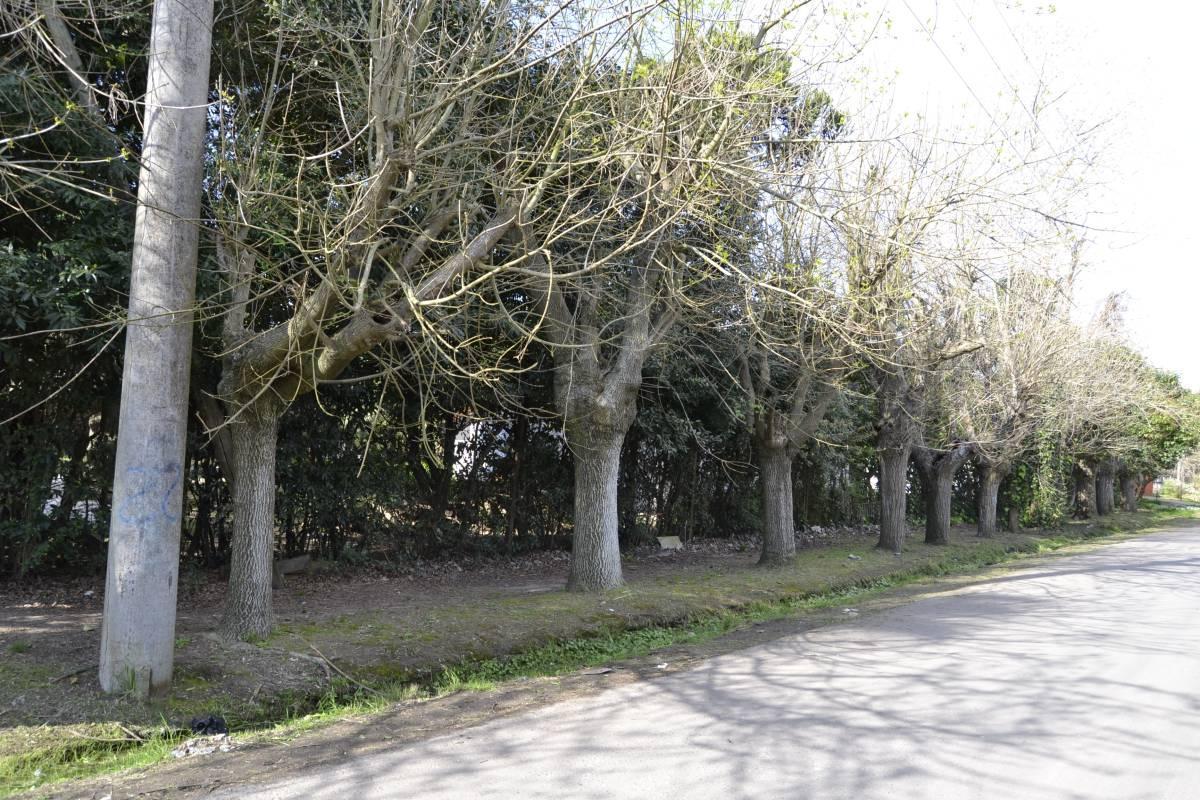 Foto de Venta Casa en esquina | Calle 477 y 26 - City Bell - La Plata, imagen 3