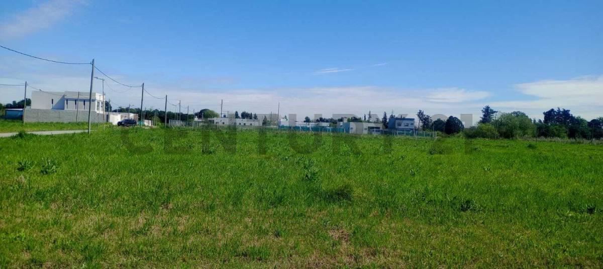 Foto de 487 y 147 - Lote de 856mts - en venta - Fincas Gorina- La Plata, imagen 4