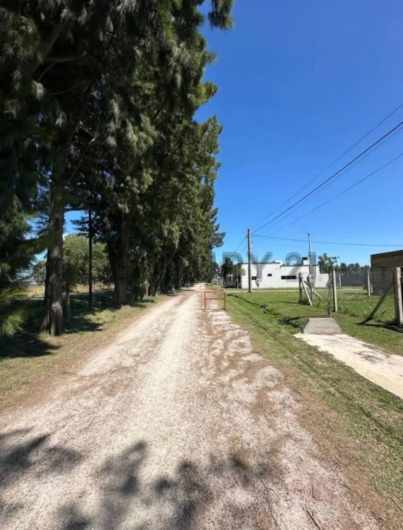 Foto de - VENTA LOTE - BARRIO CERRADO - SAN JOSÉ I - 32 229 Y 232 -, imagen 5