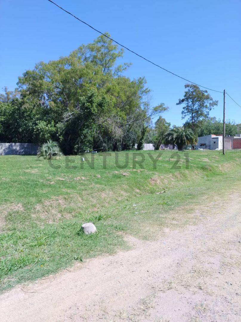 Foto de Venta de terreno en Villa Elisa La Plata, imagen 5