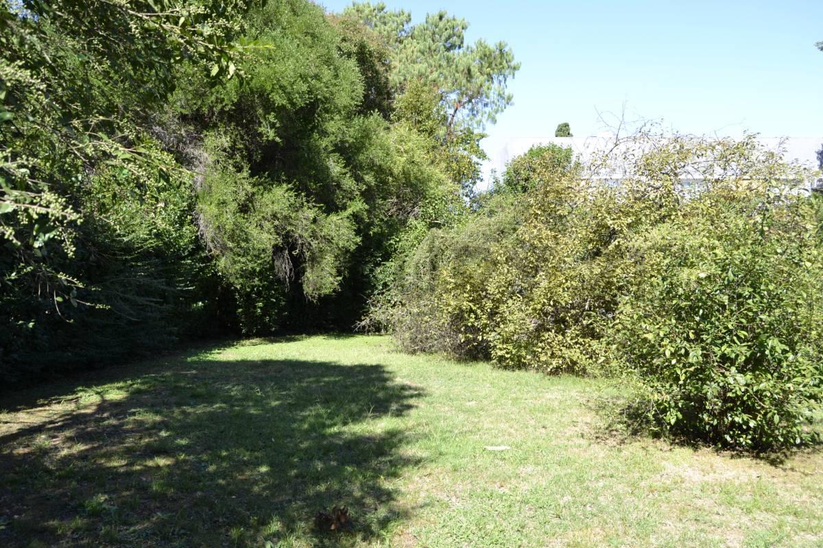 Foto de Venta Terreno 27 casi 477 | 1387 m2, imagen 4