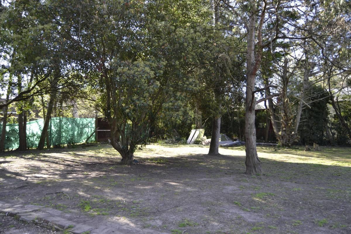Foto de Venta Lote 20x50 en 477 y 26 - City Bell, imagen 4