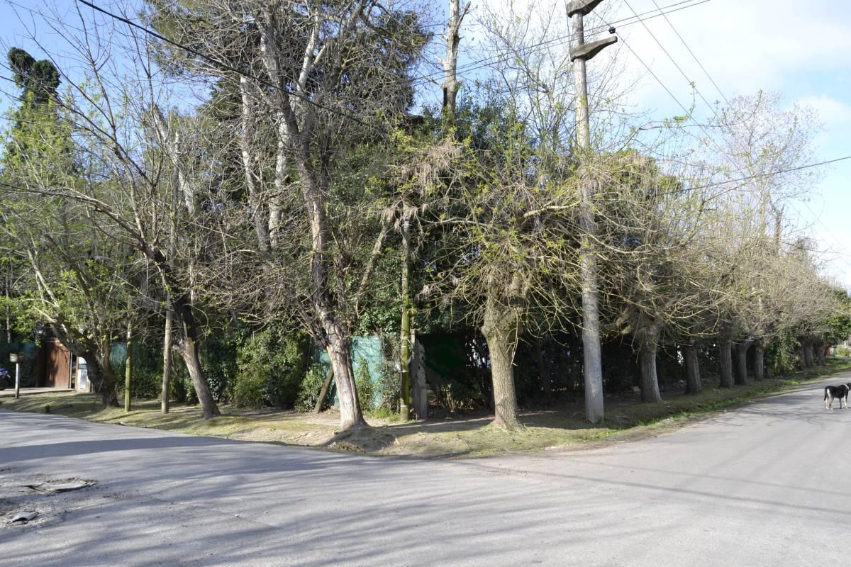 Foto de Venta Importante Terreno en 477 y 26 - City Bell, imagen 1