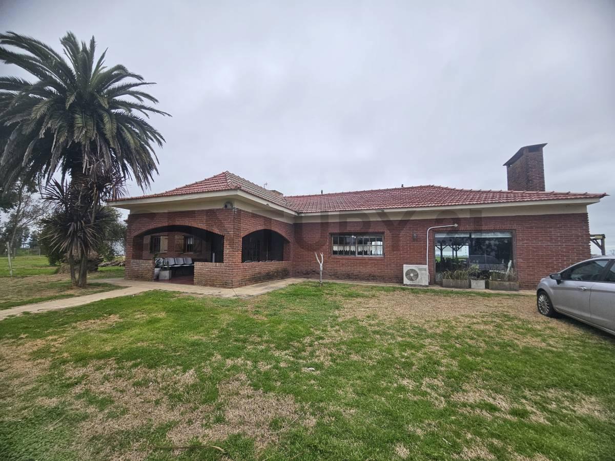 Foto de Campo de 170 HA agrícola ganadero y residencial en La Plata-Buenos, imagen 1