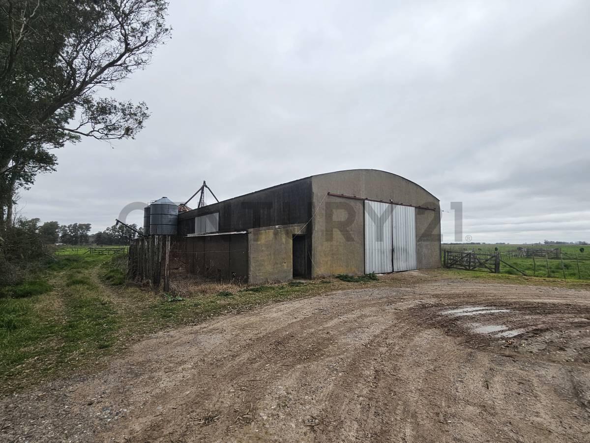 Foto de Campo de 170 HA agrícola ganadero y residencial en La Plata-Buenos, imagen 4