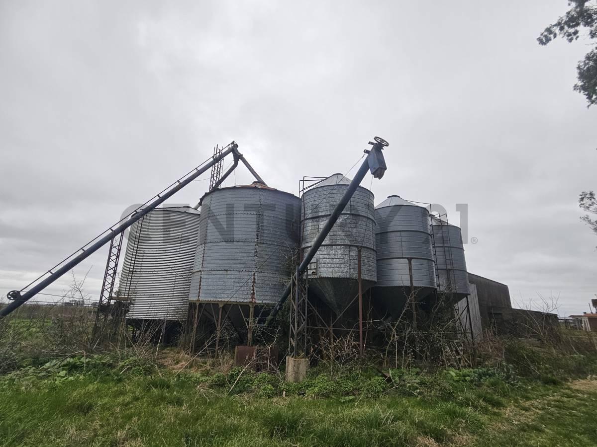 Foto de Campo de 170 HA agrícola ganadero y residencial en La Plata-Buenos, imagen 2