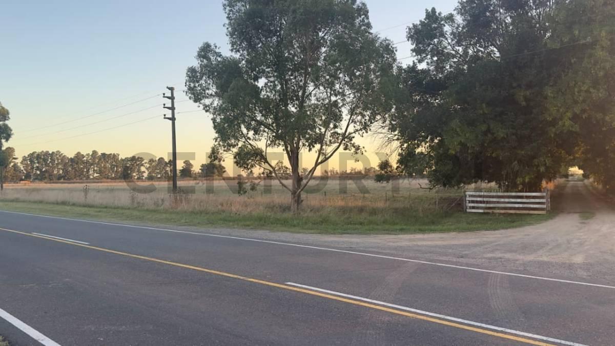 Foto de Campo de 170 HA agrícola ganadero y residencial en La Plata-Buenos, imagen 3